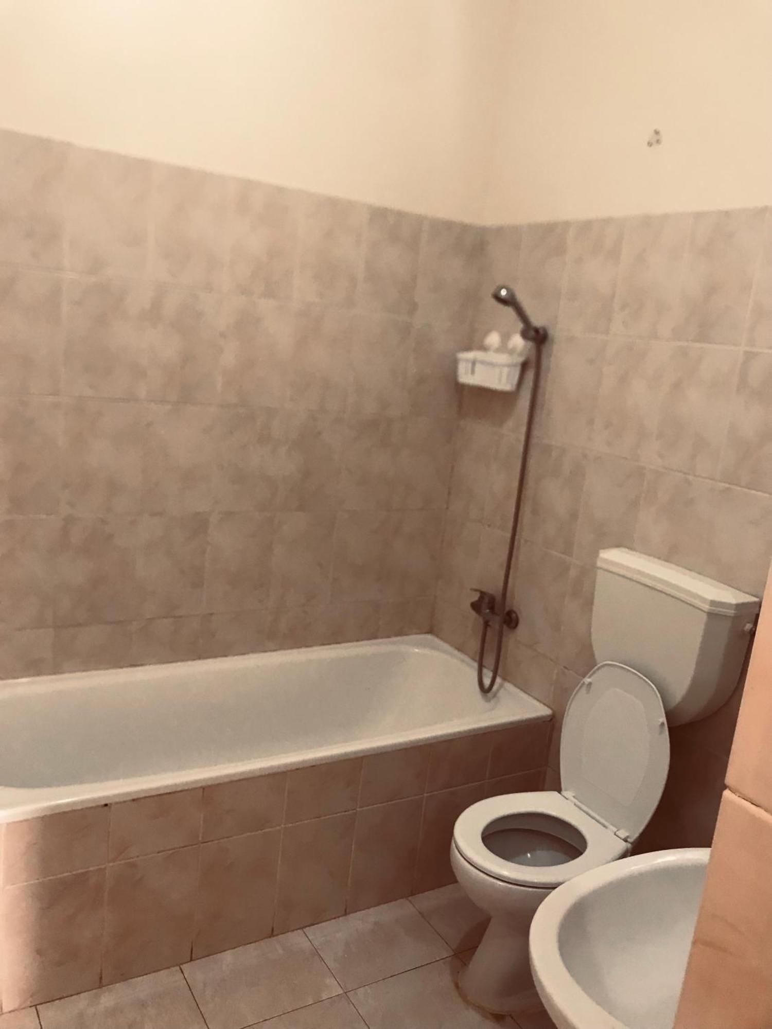 Casa Andrade Delgado - Rocha Grande Daire Ponta Do Sol Dış mekan fotoğraf